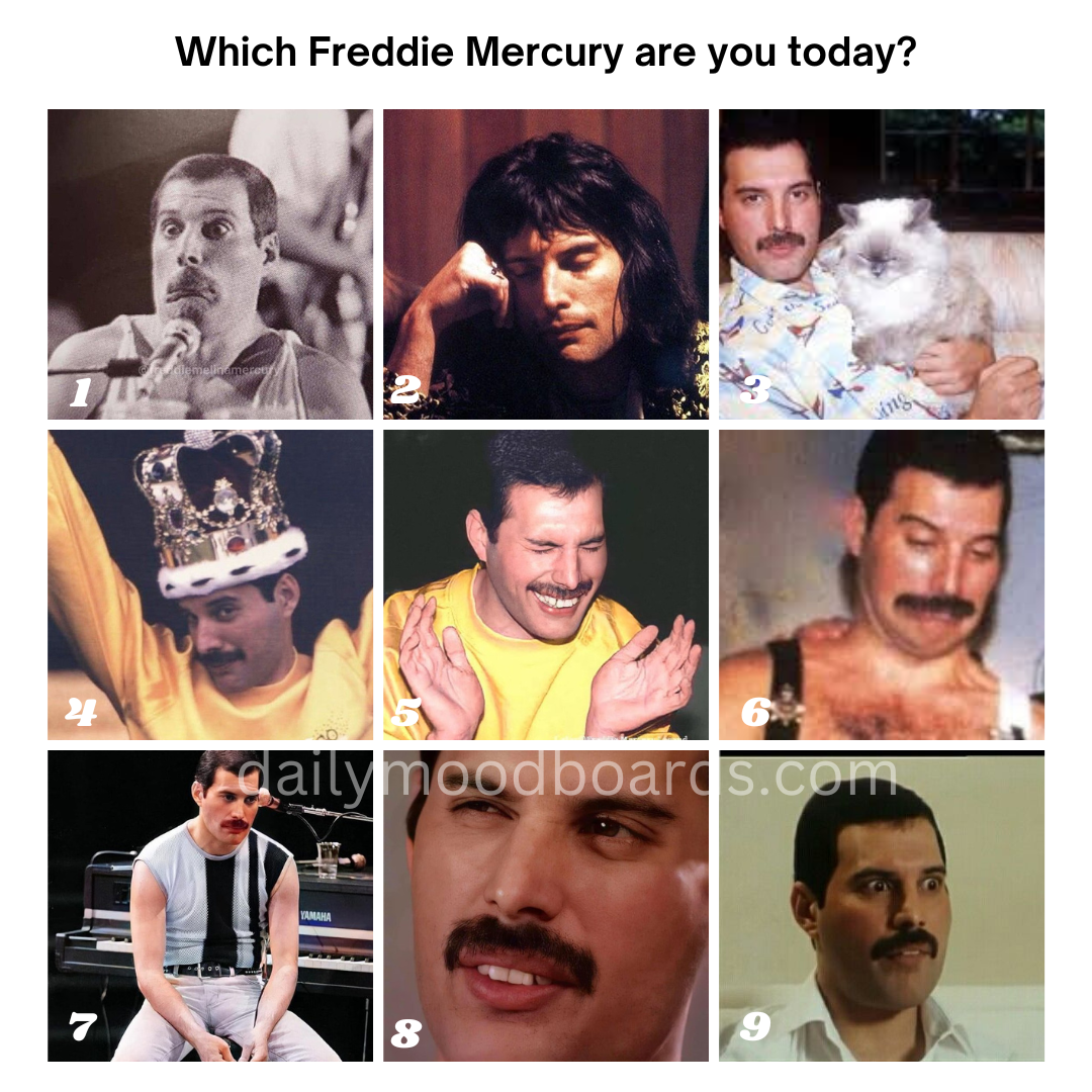 Which are you today?