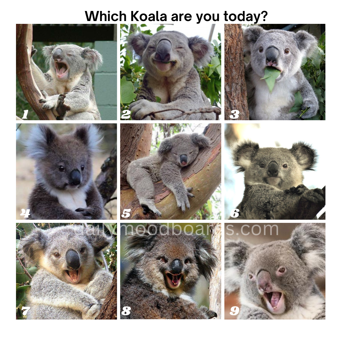 Mood Board for March  2, 2026