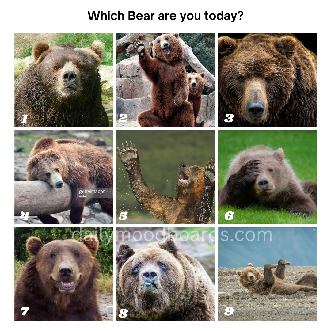 Mood Board for March 11, 2026