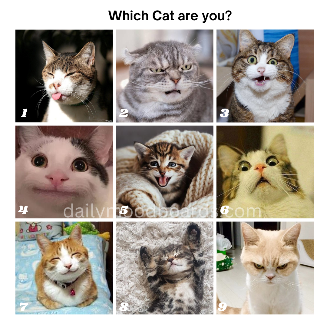 Which are you today?
