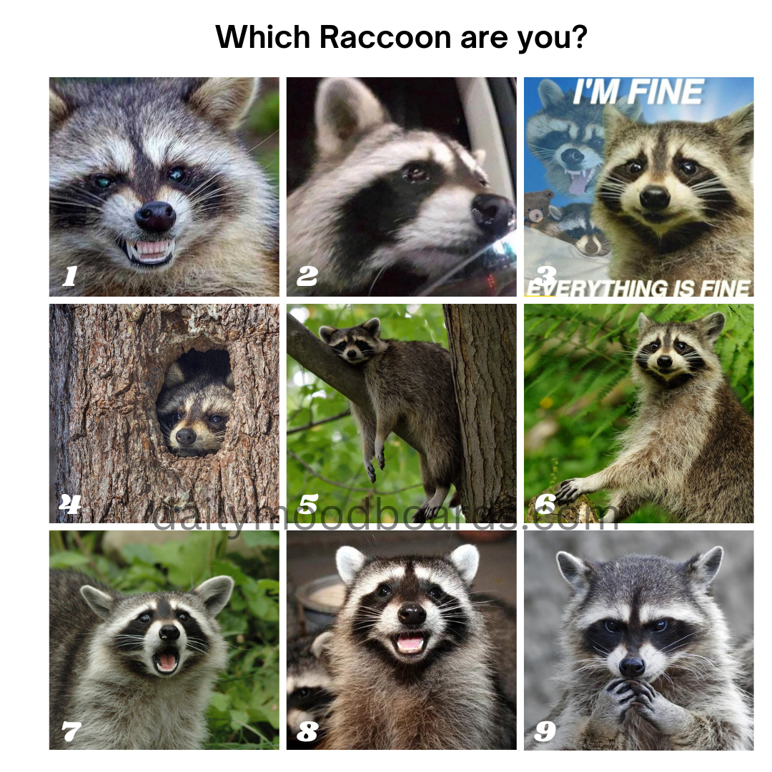 Which are you today?