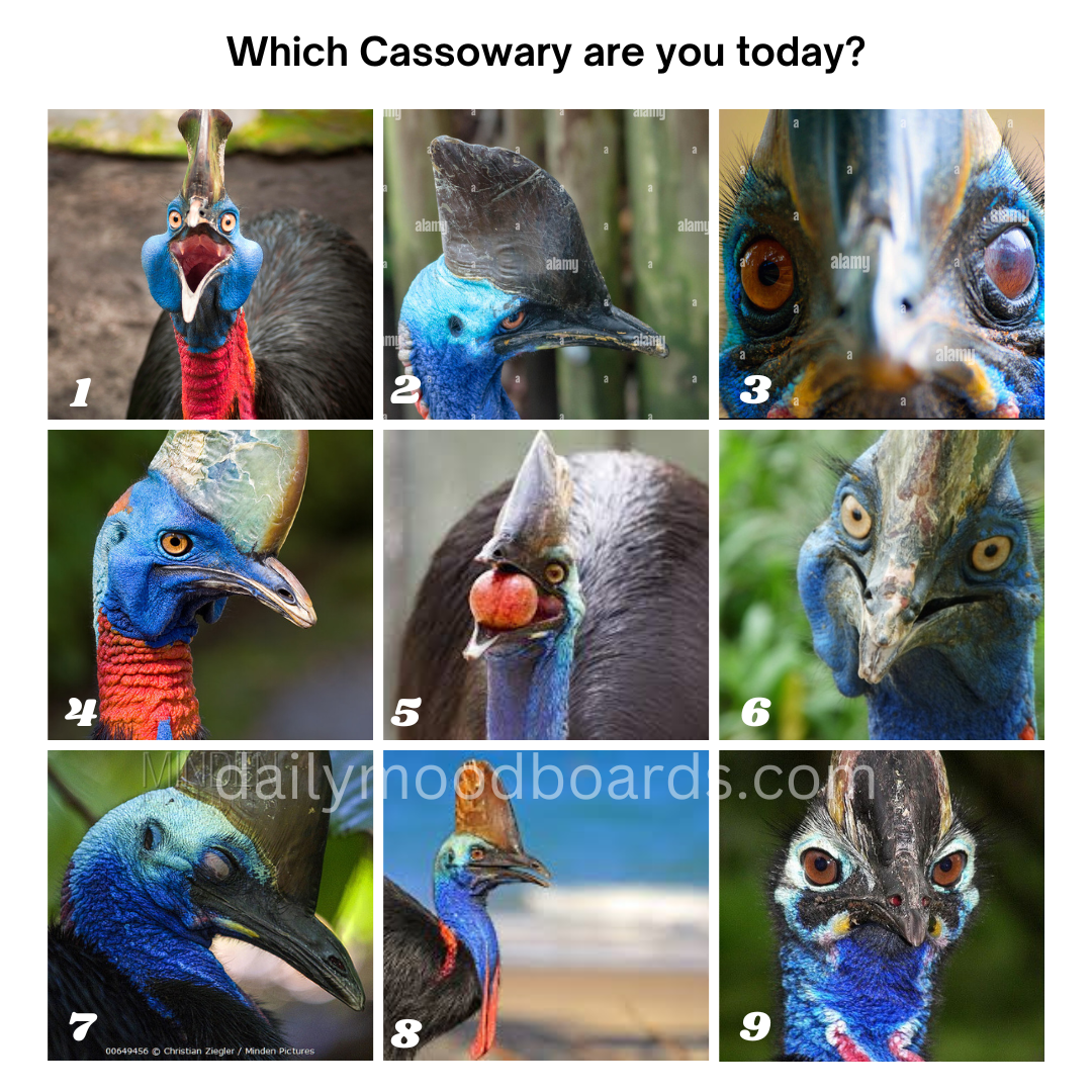Which are you today?
