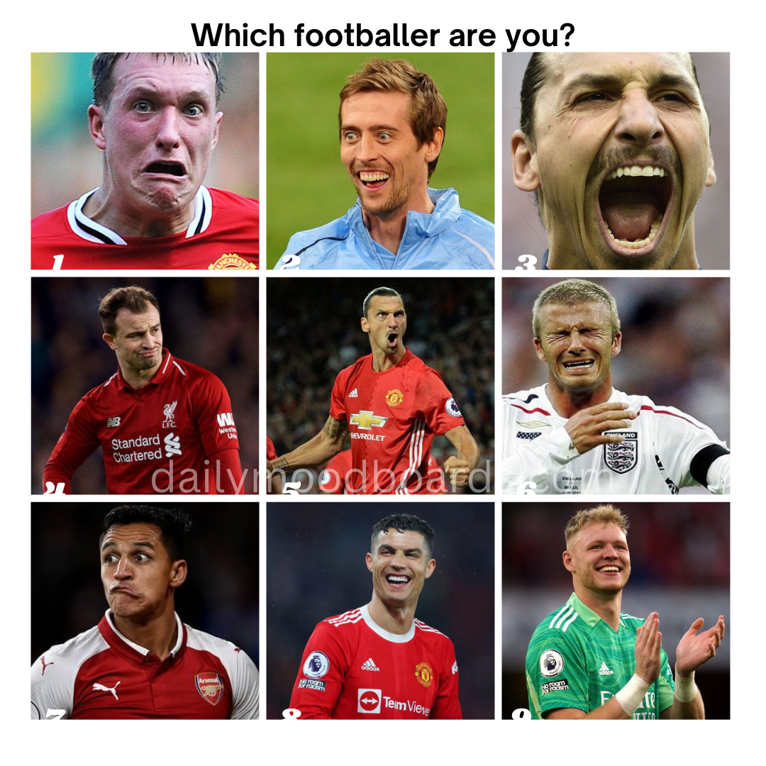 Which are you today?