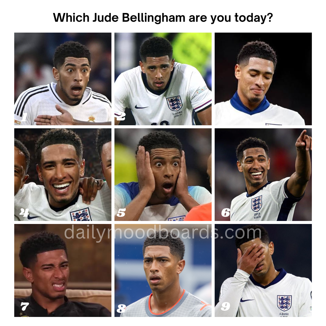 Which are you today?