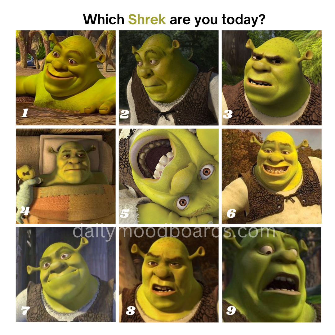 Which are you today?