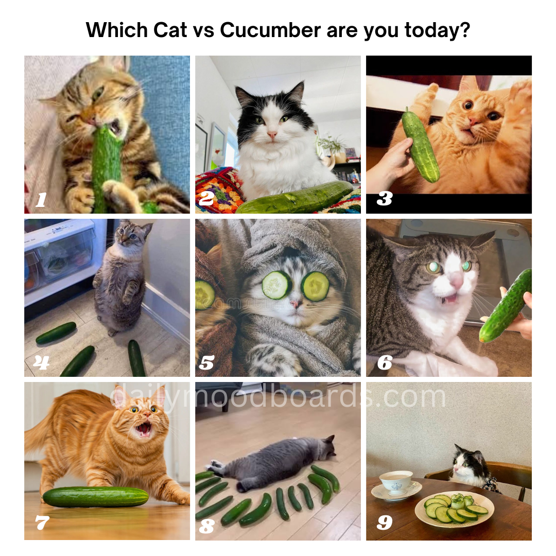 Which are you today?